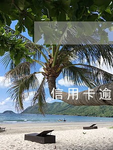信用卡逾期后多久会通知本人 信用卡逾期后多久会通知本人