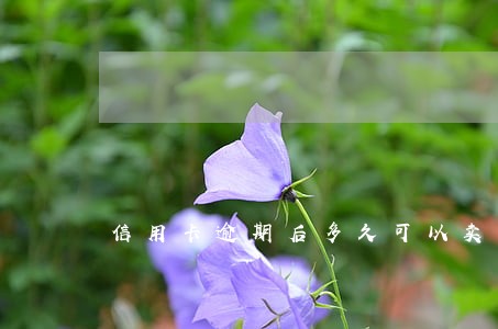 信用卡逾期后多久可以卖房 信用卡逾期后多久可以卖房