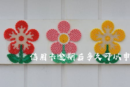 信用卡逾期后多久可以申请分期 信用卡逾期后多久可以申请分期