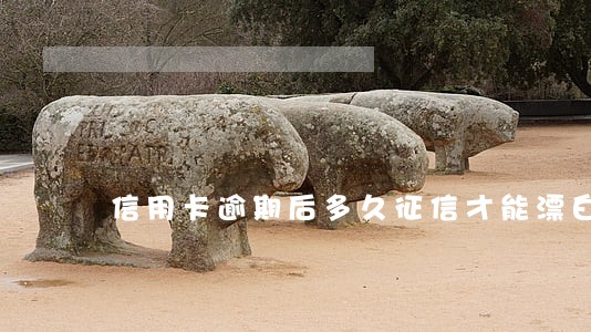 信用卡逾期后多久征信才能漂白 信用卡逾期后多久征信才能漂白