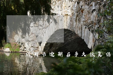 信用卡逾期后多久恢复信用额度 信用卡逾期后多久恢复信用额度
