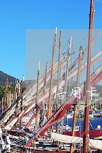 信用卡逾期后多久才上征信 信用卡逾期后多久才上征信