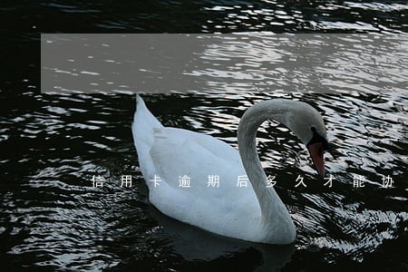 信用卡逾期后多久才能协商 信用卡逾期后多久才能协商