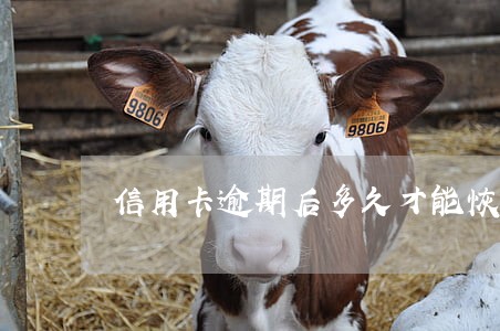 信用卡逾期后多久才能恢复