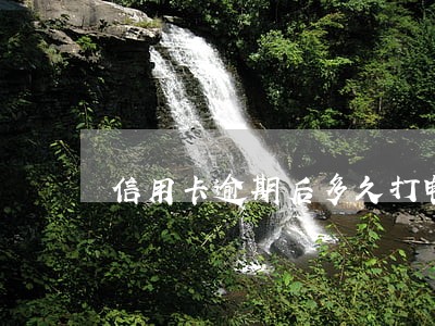 信用卡逾期后多久打电话还款 信用卡逾期后多久打电话还款