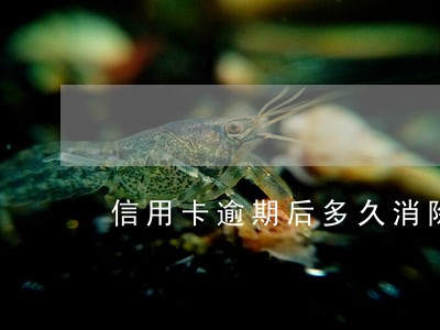 信用卡逾期后多久消除污点 信用卡逾期后多久消除污点