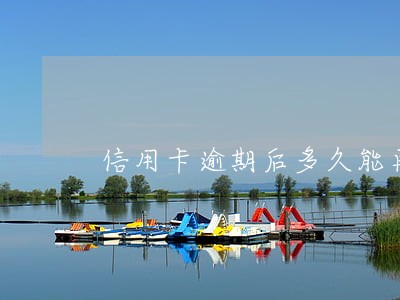 信用卡逾期后多久能再办信用卡 信用卡逾期后多久能再办信用卡