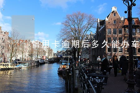 信用卡逾期后多久能办车贷 信用卡逾期后多久能办车贷