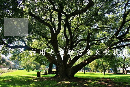 信用卡逾期后多久能提额度 信用卡逾期后多久能提额度