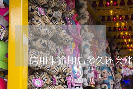 信用卡逾期后多久还会涨额度 信用卡逾期后多久还会涨额度