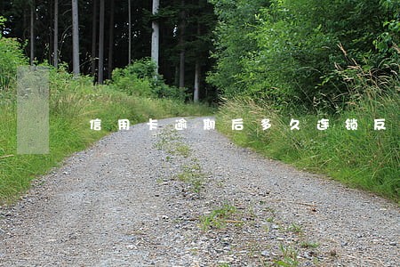 信用卡逾期后多久连锁反应 信用卡逾期后多久连锁反应