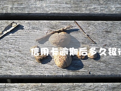 信用卡逾期后多久银行申请支付令 信用卡逾期后多久银行申请支付令