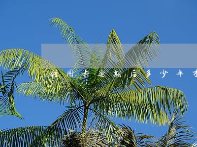信用卡逾期后多少年才可以恢复使用 信用卡逾期后多少年才可以恢复使用