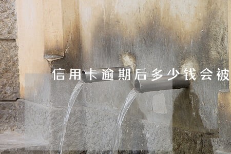 信用卡逾期后多少钱会被起诉 信用卡逾期后多少钱会被起诉