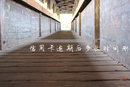 信用卡逾期后多长时间删除