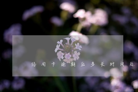 信用卡逾期后多长时间处罚