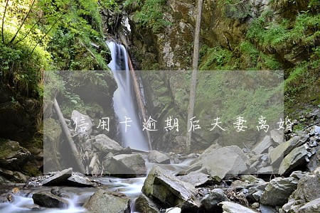 信用卡逾期后夫妻离婚