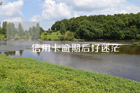 信用卡逾期后好迷茫 信用卡逾期后好迷茫