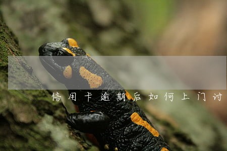 信用卡逾期后如何上门讨债 信用卡逾期后如何上门讨债