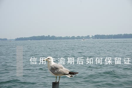 信用卡逾期后如何保留证据 信用卡逾期后如何保留证据