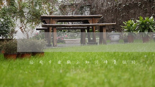 信用卡逾期后如何修复征信 信用卡逾期后如何修复征信