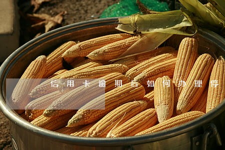 信用卡逾期后如何办理停息挂账 信用卡逾期后如何办理停息挂账