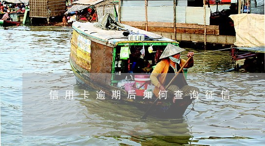 信用卡逾期后如何查询征信 信用卡逾期后如何查询征信