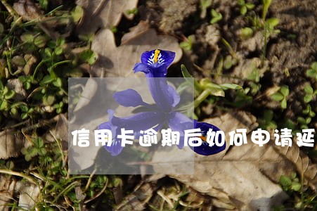 信用卡逾期后如何申请延期还款 信用卡逾期后如何申请延期还款