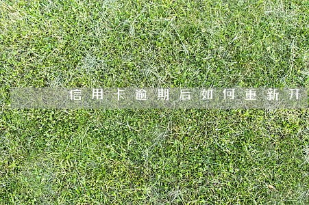 信用卡逾期后如何重新开卡 信用卡逾期后如何重新开卡