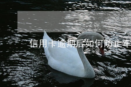 信用卡逾期后如何防止牢狱之灾 信用卡逾期后如何防止牢狱之灾
