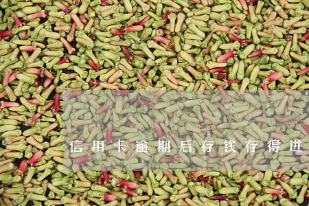 信用卡逾期后存钱存得进吗