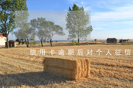 信用卡逾期后对个人征信有影响