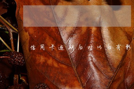 信用卡逾期后对以后有影响吗