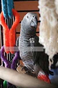 信用卡逾期后对银行有影响吗 信用卡逾期后对银行有影响吗