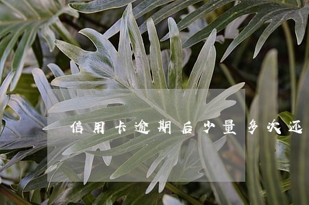 信用卡逾期后少量多次还款可以吗