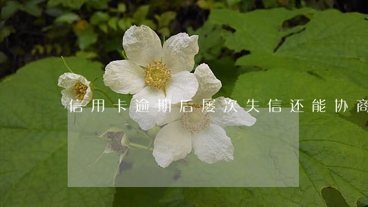 信用卡逾期后屡次失信还能协商吗 信用卡逾期后屡次失信还能协商吗