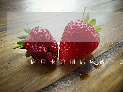 信用卡逾期后应该怎么办理 信用卡逾期后应该怎么办理