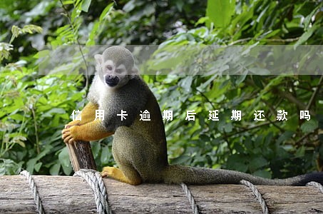 信用卡逾期后延期还款吗