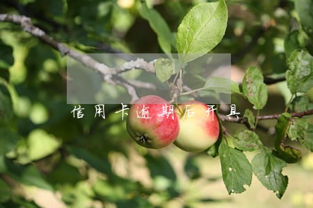 信用卡逾期后开具 信用卡逾期后开具