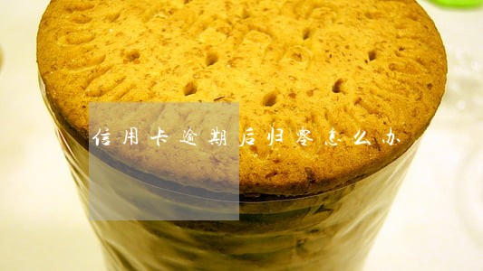 信用卡逾期后归零怎么办 信用卡逾期后归零怎么办