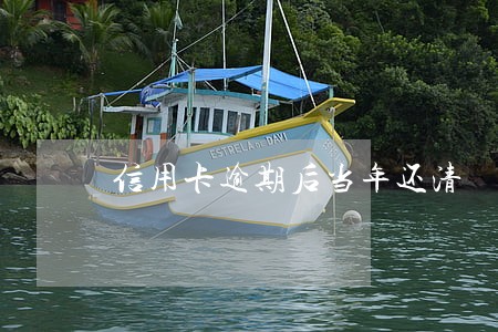 信用卡逾期后当年还清 信用卡逾期后当年还清