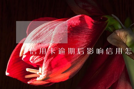 信用卡逾期后影响信用怎么办 信用卡逾期后影响信用怎么办