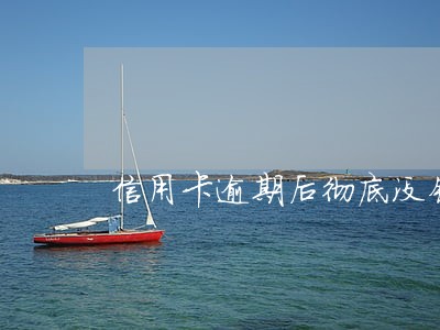 信用卡逾期后彻底没钱还 信用卡逾期后彻底没钱还