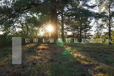 信用卡逾期后征信会影响吗 信用卡逾期后征信会影响吗