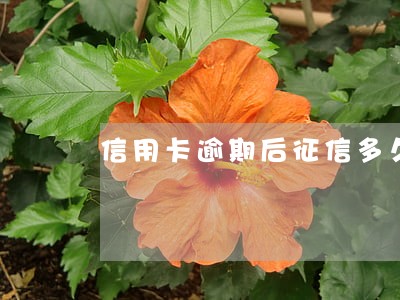 信用卡逾期后征信多久可以恢复 信用卡逾期后征信多久可以恢复
