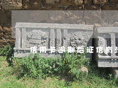 信用卡逾期后征信有污点怎么办 信用卡逾期后征信有污点怎么办