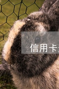 信用卡逾期后征信能解除吗 信用卡逾期后征信能解除吗