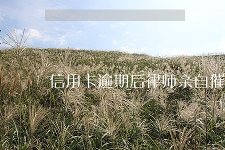 信用卡逾期后律师亲自催款吗 信用卡逾期后律师亲自催款吗