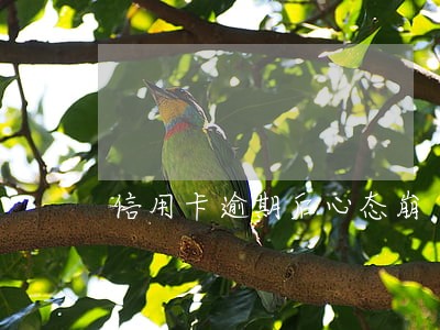 信用卡逾期后心态崩 信用卡逾期后心态崩