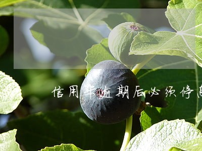 信用卡逾期后必须停息吗 信用卡逾期后必须停息吗